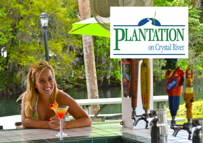 The Crystal River, Florida experience!