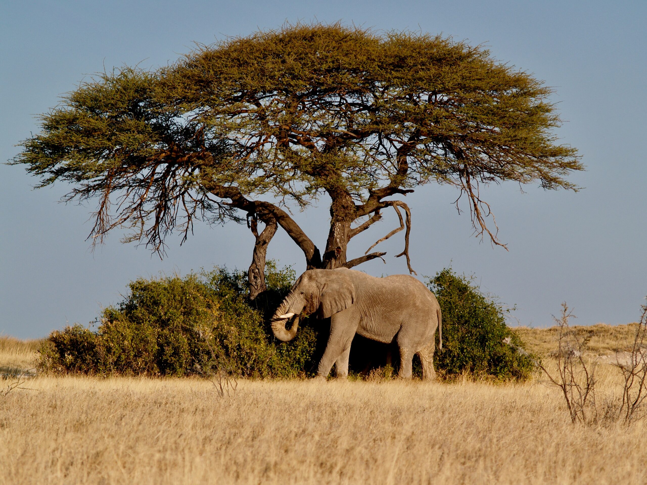 Africa’s Hidden Stories: 7 Immersive Journeys That Go Beyond the Safari