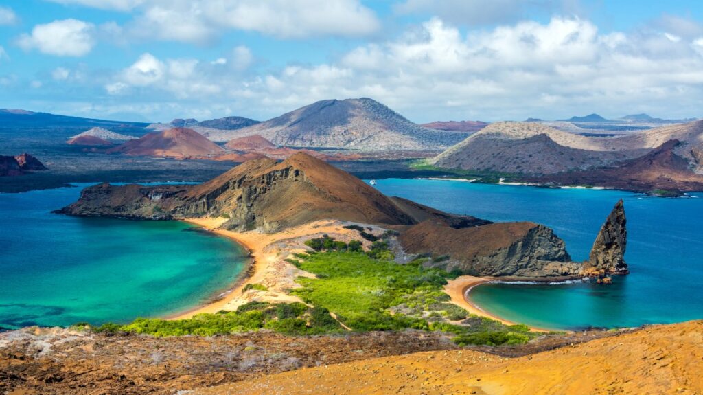 The Galapagos Islands