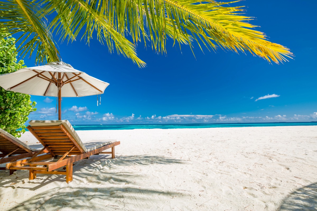 Tranquil scenery, relaxing beach, tropical landscape design. Summer vacation travel holiday design