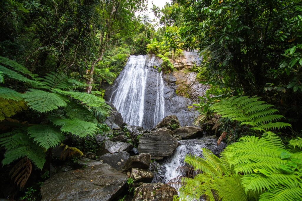 La Coca Waterfall, El Yunque National Forest, Puerto Rico